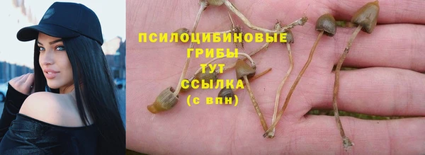 2c-b Алзамай