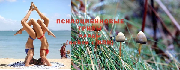 2c-b Алзамай